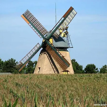 Tarje *